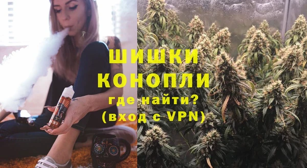 тгк Новодвинск