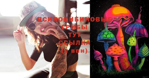 гашиш Няндома