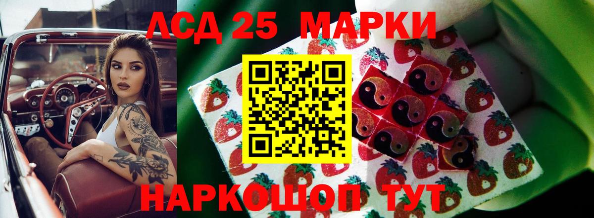 ЛСД экстази ecstasy  Новозыбков  LSD-25 экстази  ОМГ ОМГ сайт  Лсд 25 экстази ecstasy 