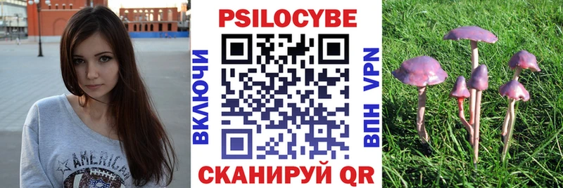 Галлюциногенные грибы Magic Shrooms  как найти закладки  Новозыбков 