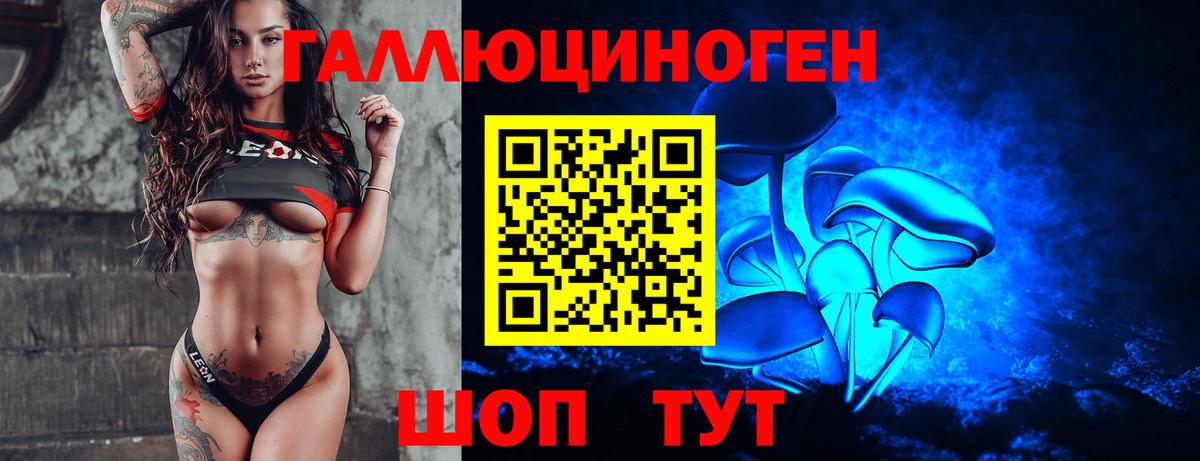 Галлюциногенные грибы прущие грибы  Вход с VPN  Новозыбков  Галлюциногенные грибы прущие грибы 