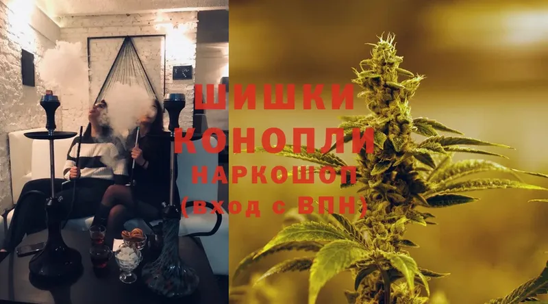 МАРИХУАНА LSD WEED  купить наркотики сайты  MEGA ССЫЛКА  Новозыбков 