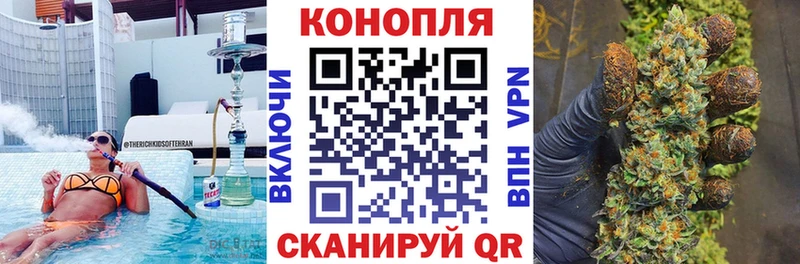 где можно купить наркотик  Новозыбков  Бошки марихуана LSD WEED 