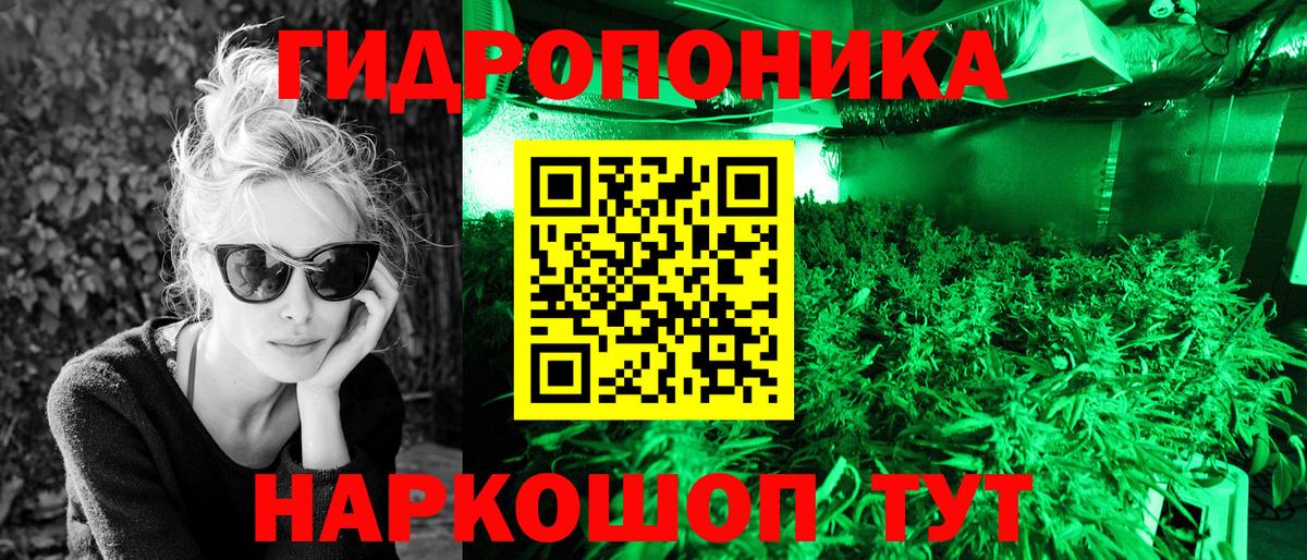 Марихуана тримм  Каннабис AK-47  Каннабис ГИДРОПОН  Вход с VPN  Бошки марихуана Amnesia  Новозыбков 